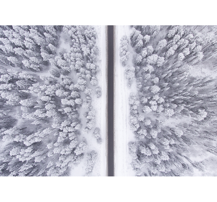 Karlı orman manzara duvar resmi yol - TenStickers