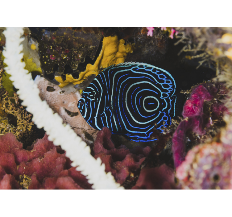 Egzotik mavi balık hayvan duvar resmi - TenStickers