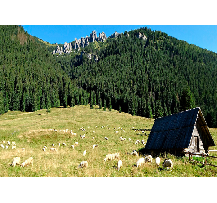 Dağlık yeşillik manzarası manzara duvar resim - TenStickers