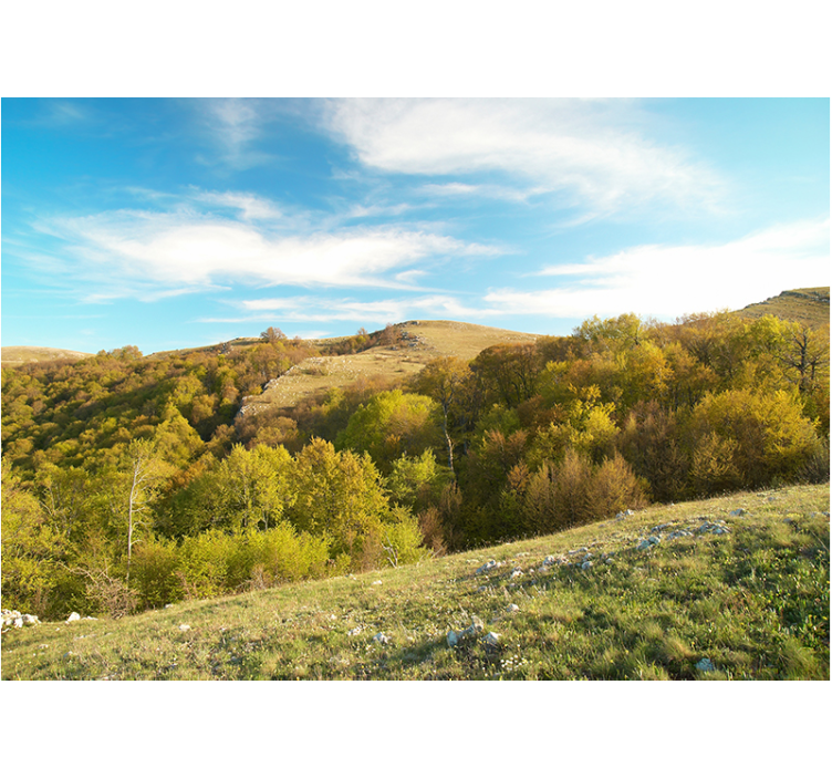 Manzara duvar resim - yuvarlanan tepeler manzarası - TenStickers