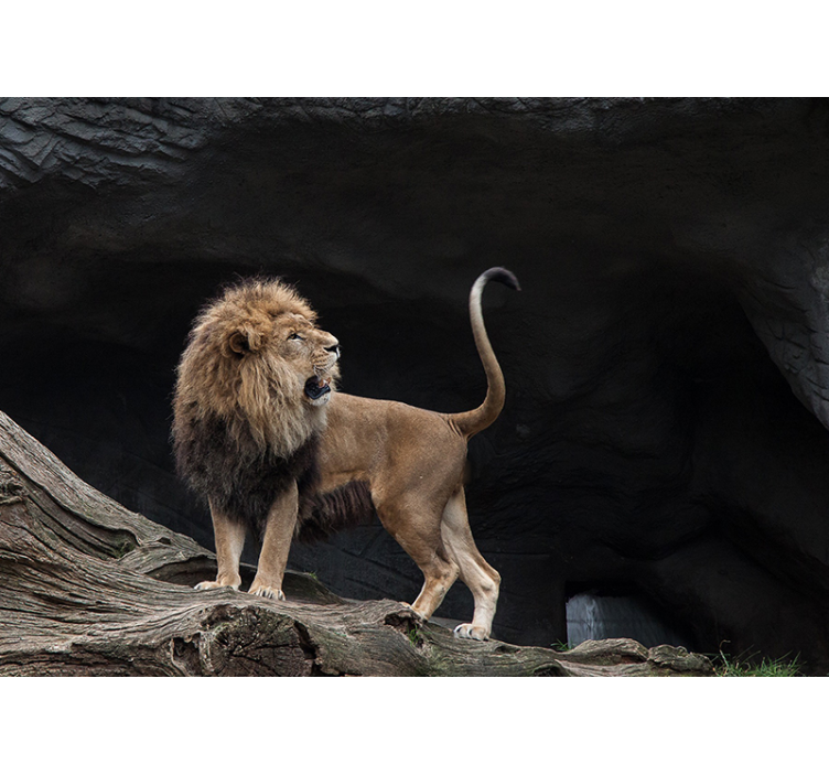 Sonsuz koridorlu aslanlar 3 boyutlu duvar kağıdı - TenStickers