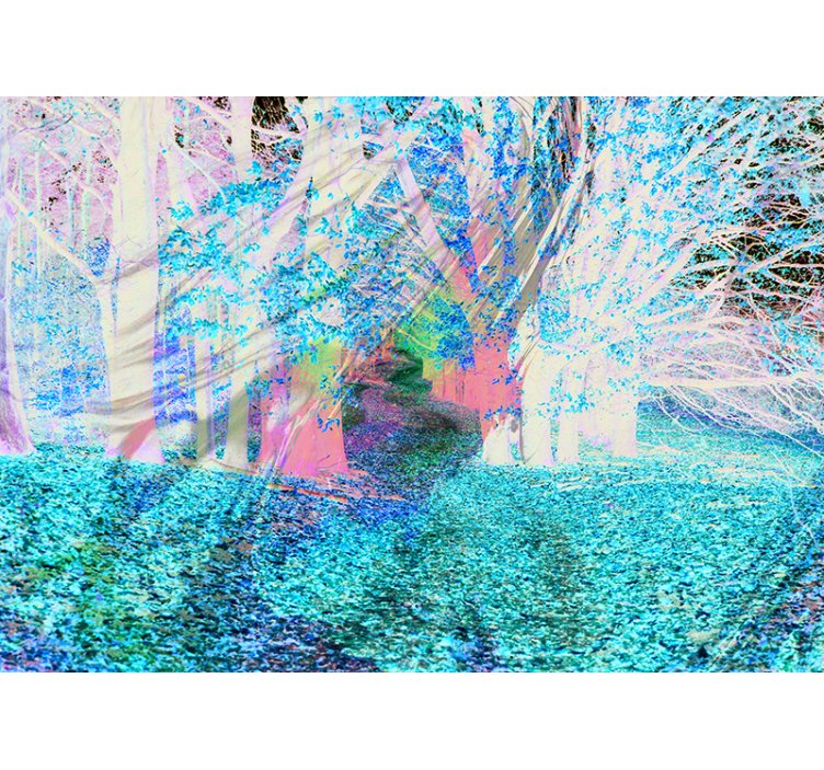 Sonbahar yolu orman duvar resim - TenStickers