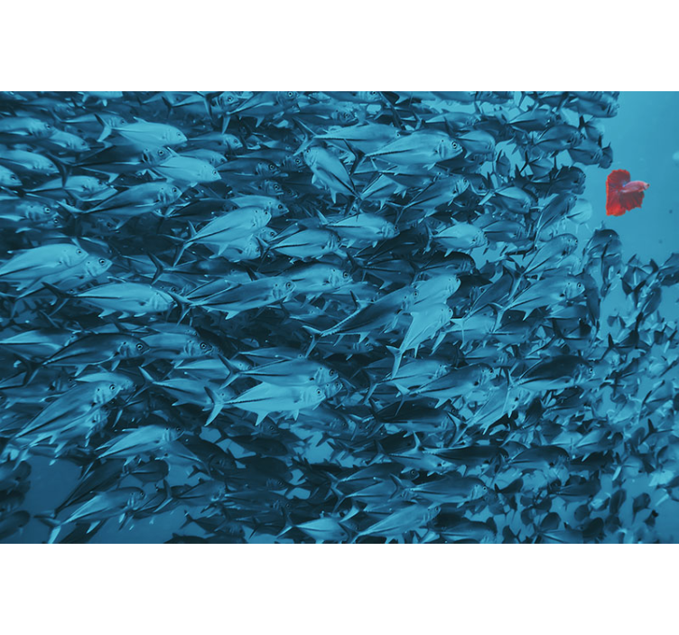 Duvar fotoğrafı okyanusta balık 3d çıkartması - TenStickers