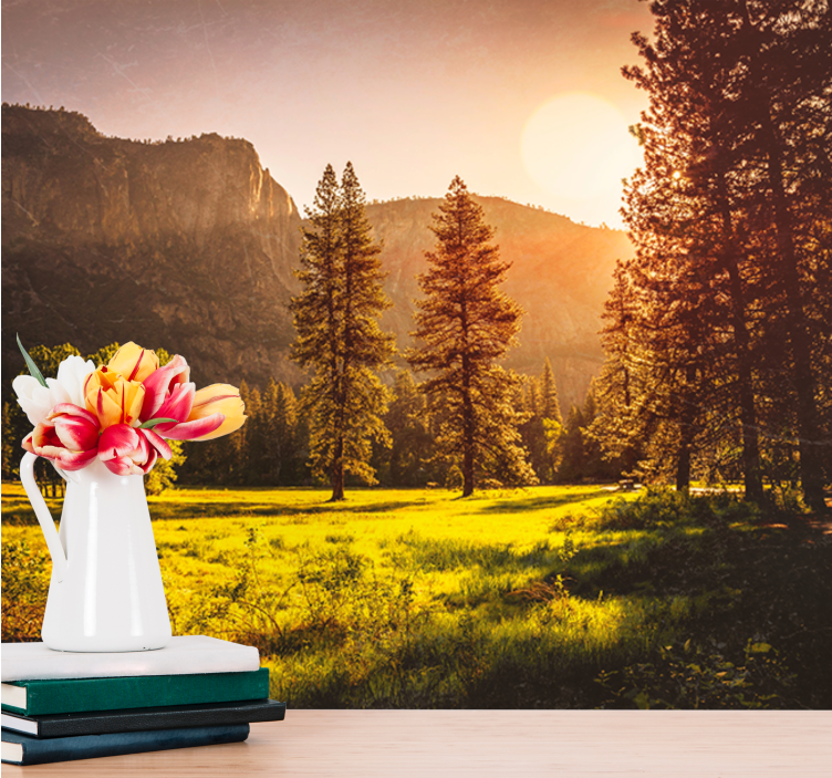 Ağaçların arkasında gün batımı orman duvar kağıdı - TenStickers