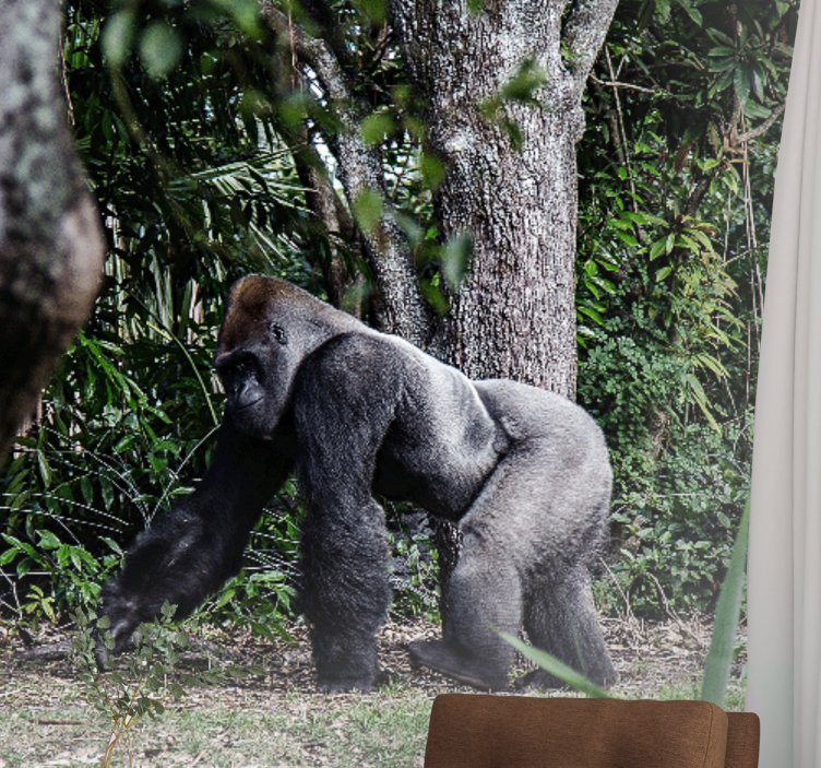 Ağaçların yanında gümüş siyah goril duvar kağıdı - TenStickers