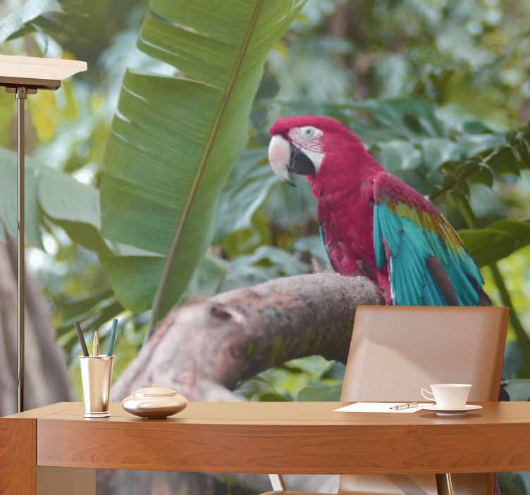 Kısa gagalı kırmızı kuş oturma odası duvar kağıdı - TenStickers