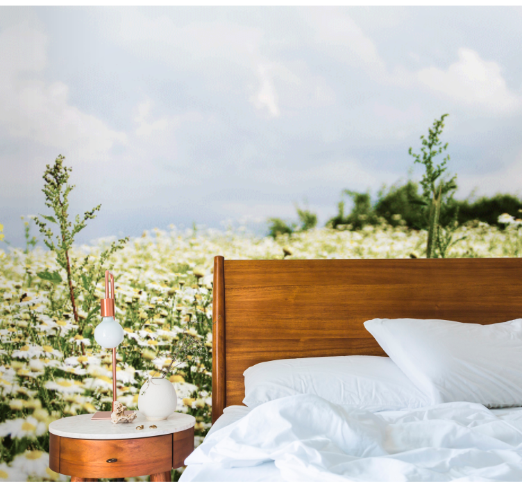 Papatyalar huzurlu çayır doğa duvar resmi - TenStickers