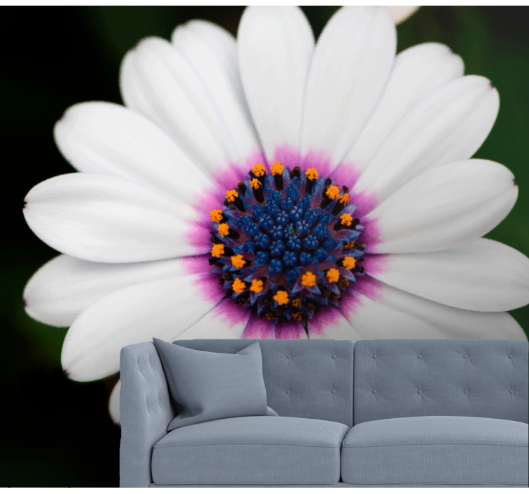 Beyaz ve mor papatya duvar resmi - TenStickers