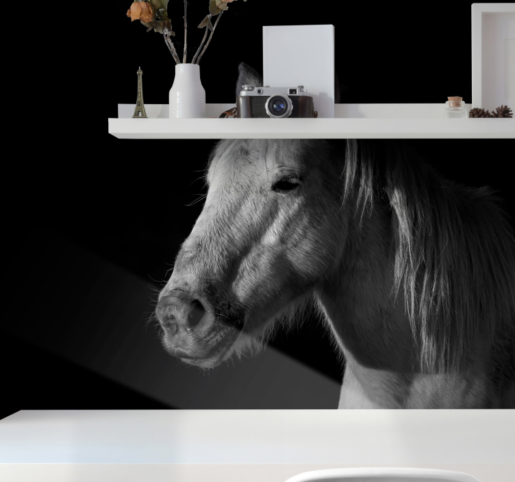 Boşluktan at duvar resmi - TenStickers