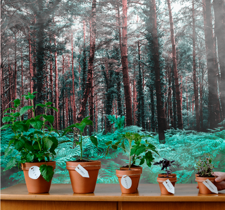 Canlı sis ormanı ağaç duvar resmi - TenStickers