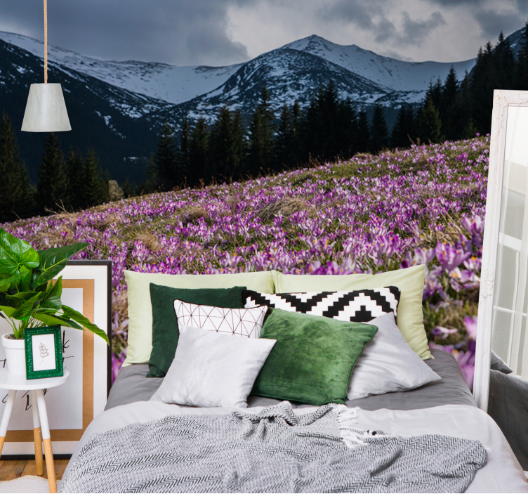 Çiçek duvar resmi Çiğdem Çiçekleri tarlası - TenStickers