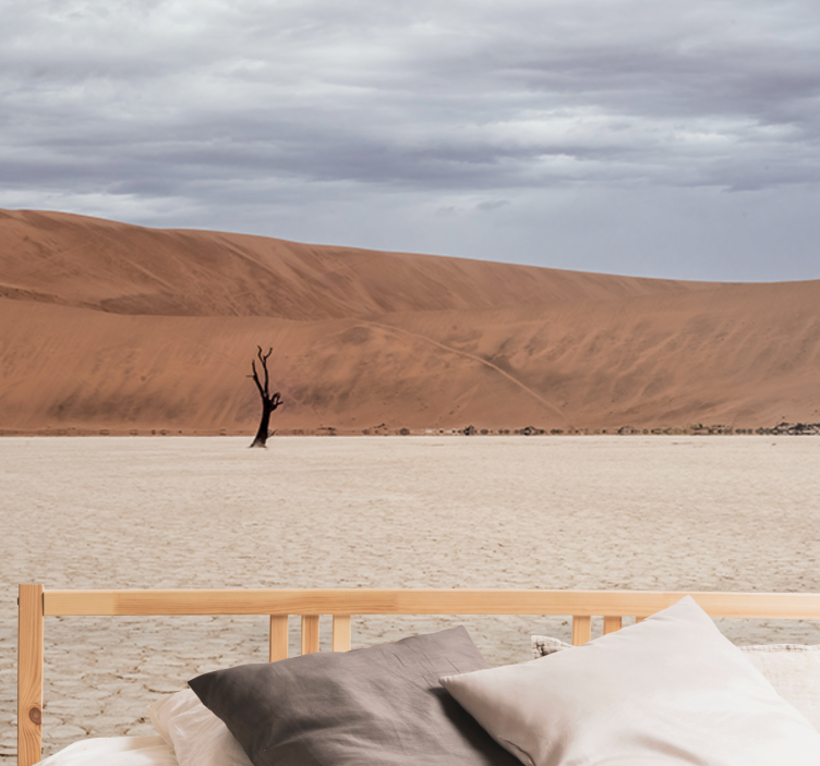 Dağ duvar resim Çöl manzarası görünümü - TenStickers