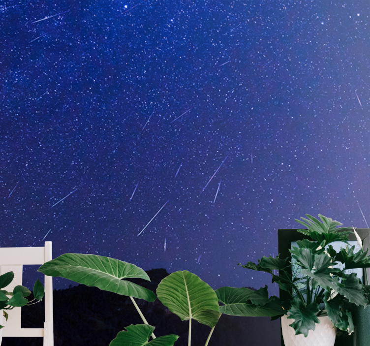 Dağ duvar resmi celestial comets night - TenStickers