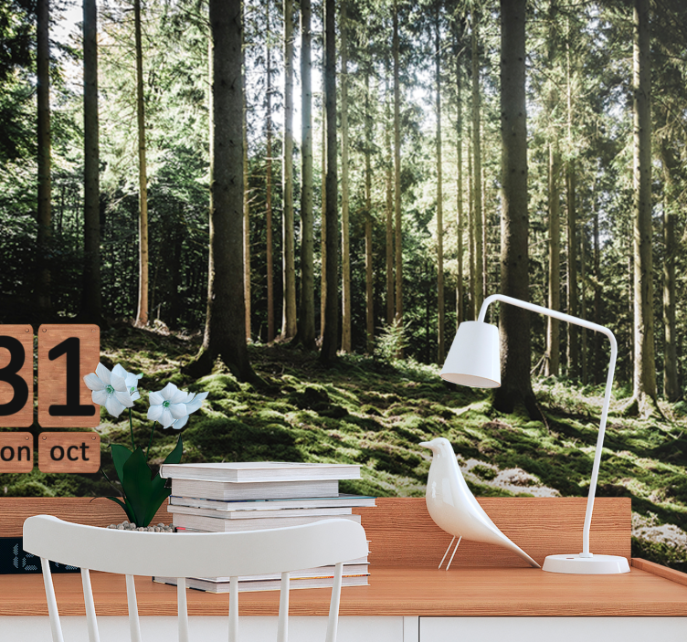 Derin ışık yeşil ağaçlar orman duvar kağıdı - TenStickers