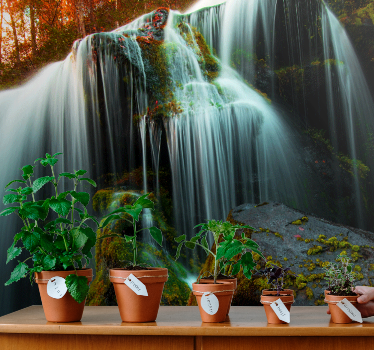 Derin orman şelalesi duvar resmi - TenStickers