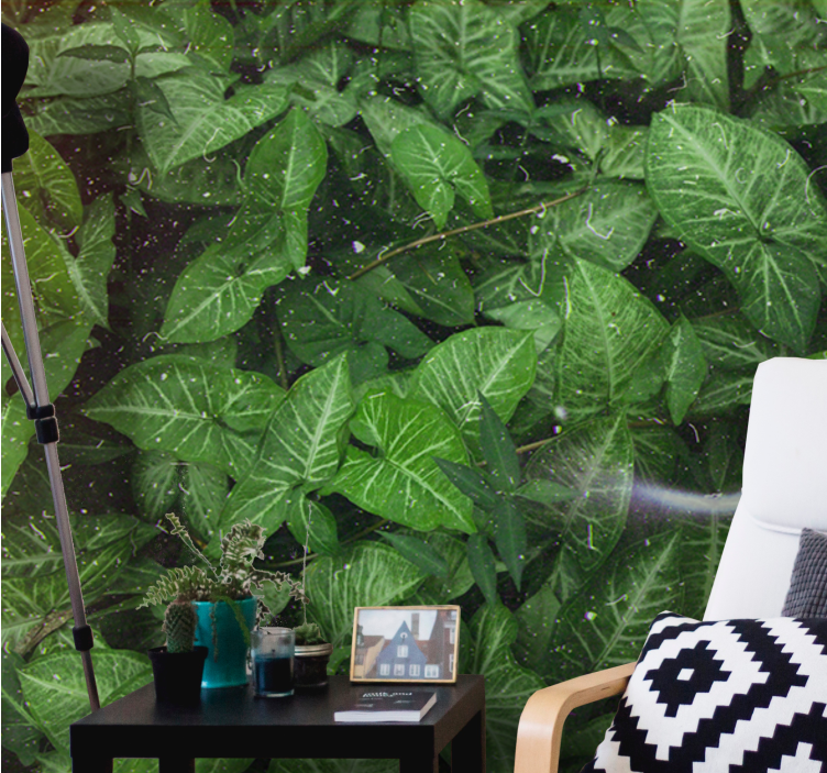 Doğa duvar resim - canlı yaprak kompozisyonu - TenStickers