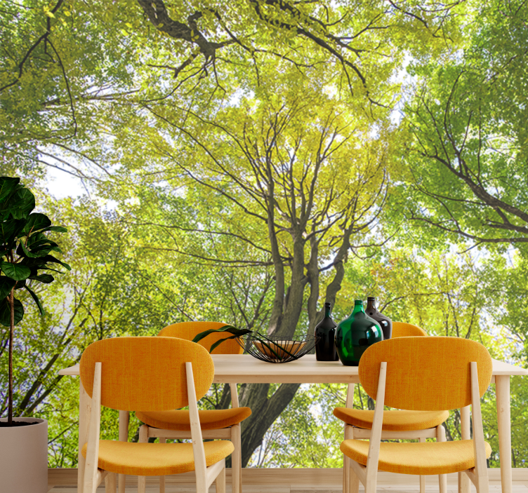 Doğa duvar resim - göz alıcı orman Çatısı - TenStickers