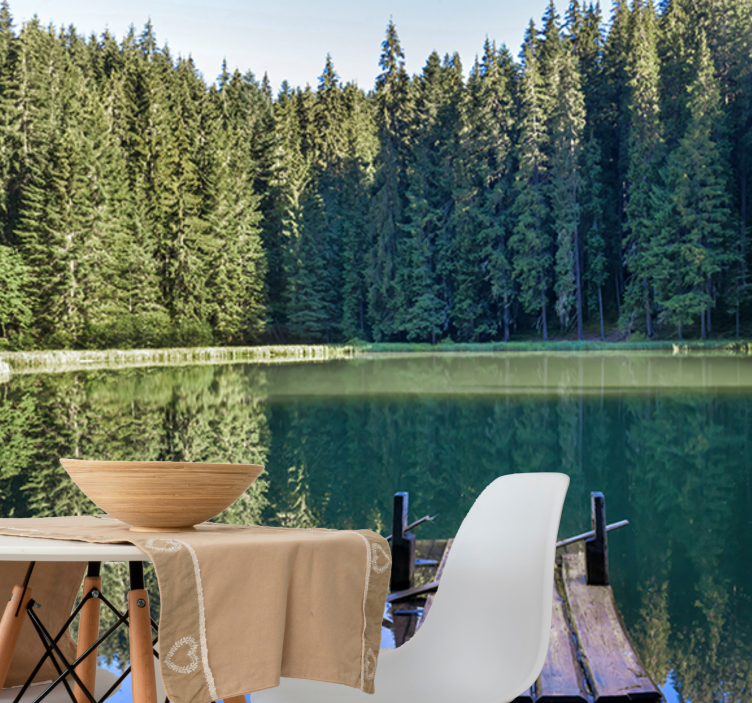 Doğa duvar resim sakin orman yansıması - TenStickers