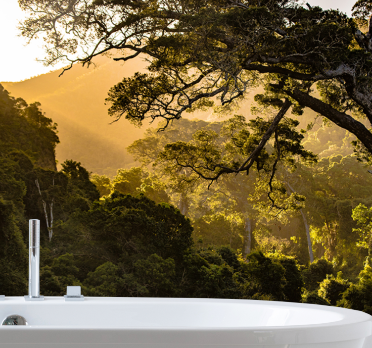 Doğa duvar resim - yeşil orman manzarası - TenStickers