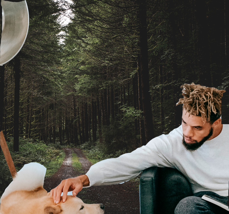 Doğa duvar resim yeşil orman yolu - TenStickers