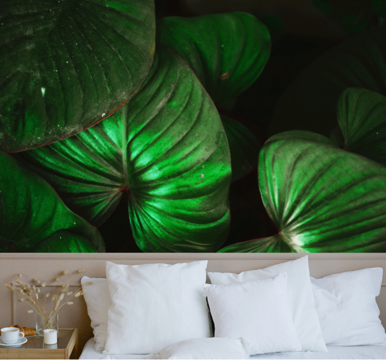 Doğa duvar resim yeşil yapraklar - TenStickers