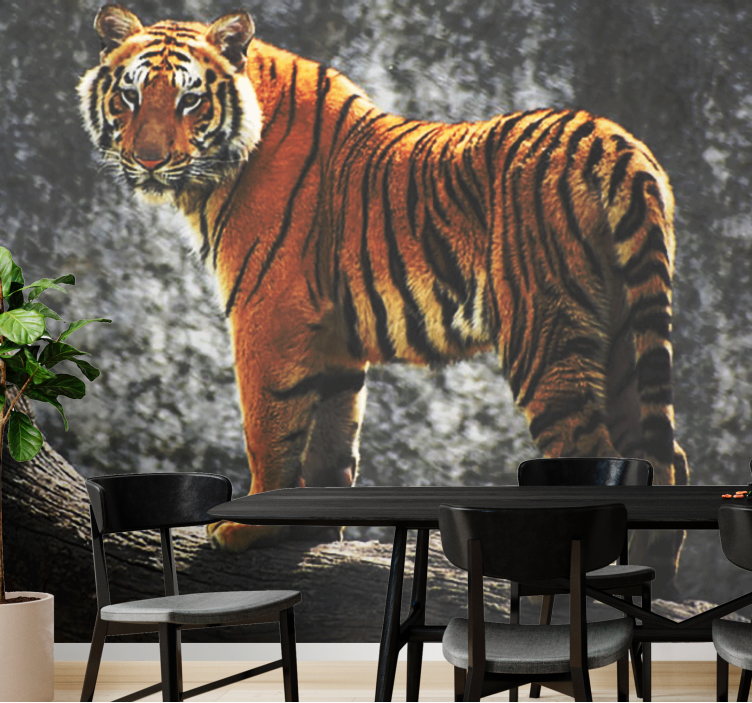 Duvar resmi arkasında şelale ile kaplan - TenStickers