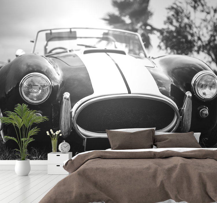 Eski yarış arabası fotoğraf duvar kağıdı - TenStickers