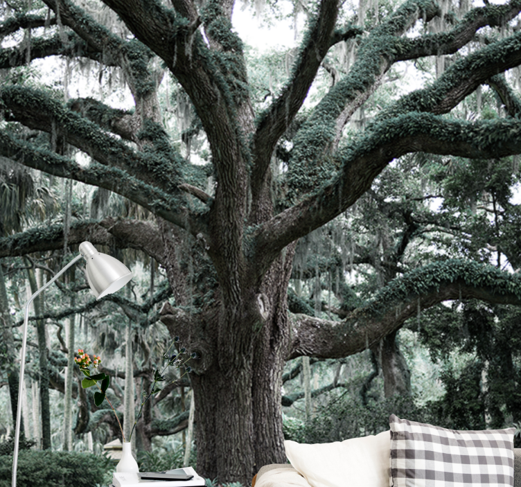 Görkemli meşe dalları ağaçlar duvar resim - TenStickers