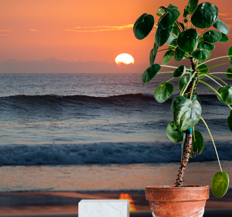 Gün batımı okyanus ufku deniz duvar resim - TenStickers