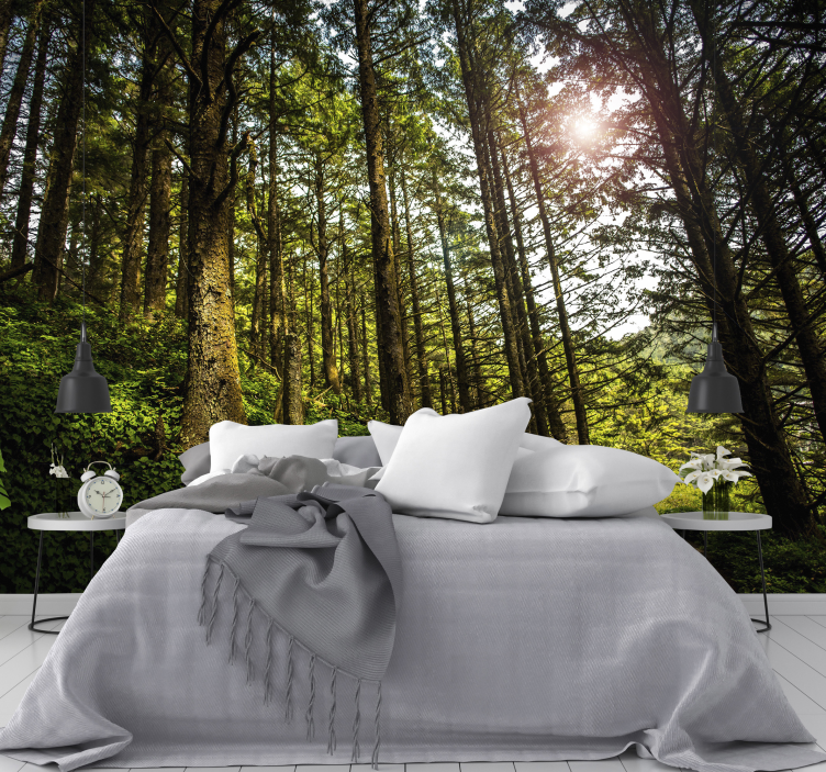 Güneşli orman duvar resmi!! - TenStickers