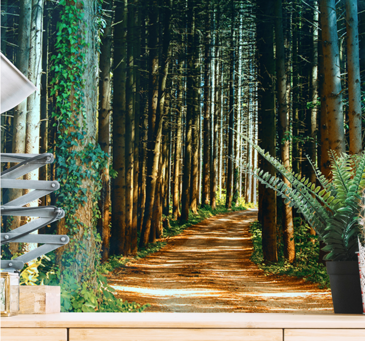 Güzel doğa yolu ağaç duvar resmi - TenStickers