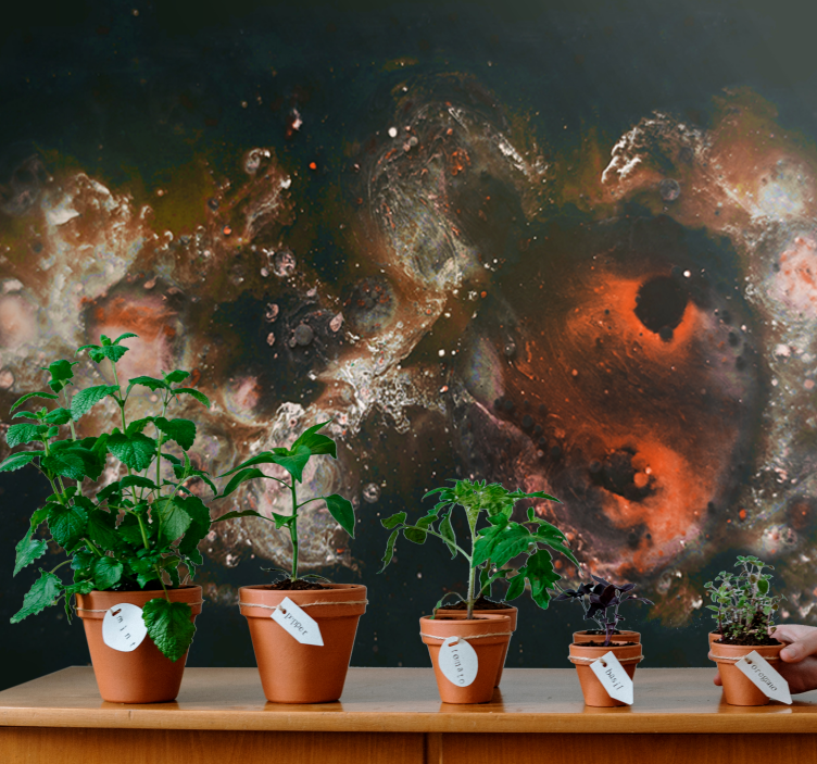 Güzel manzara samanyolu galaksisi duvar kağıdı - TenStickers