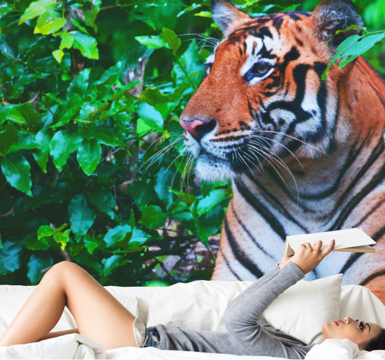 Güzel poz veren kaplan afrika duvar kağıdı - TenStickers