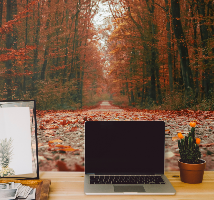 Güzel renkli sonbahar yaprakları duvar kağıdı - TenStickers