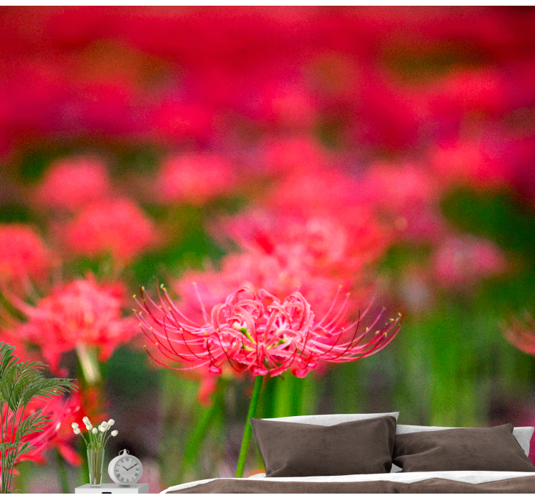 Haşhaş duvar resim canlı kırmızı Çiçekler - TenStickers