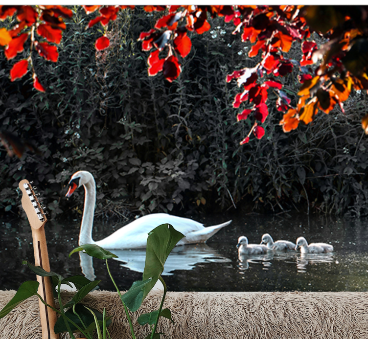 Hayvan duvar resim Şık kuğu ailesi - TenStickers