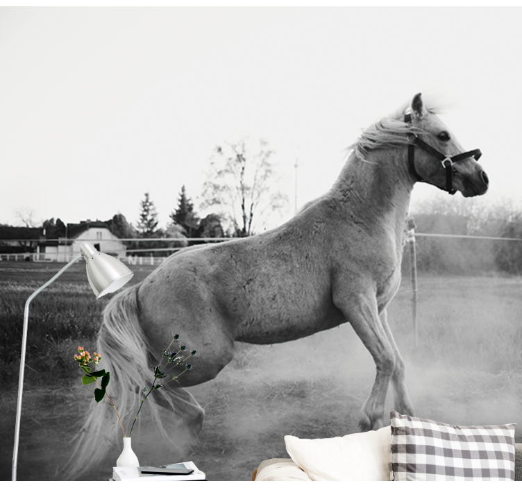 Hayvan duvar resmi koşan pony - TenStickers