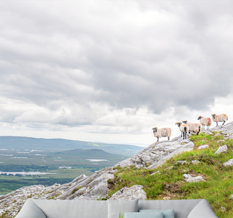 Hayvan duvar resmi yamaçlardaki koyunlar - TenStickers