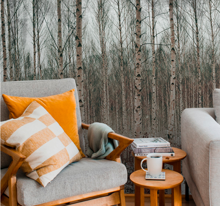 Huş ağacı gri ağaçlar orman duvar resmi - TenStickers