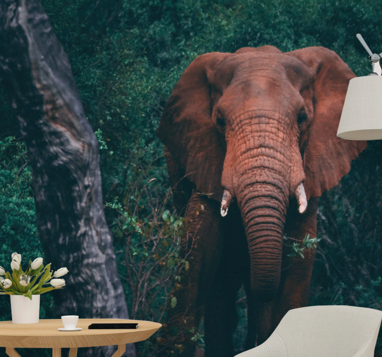 Kahverengi mamut ormanda oturma odası duvar kağıdı - TenStickers