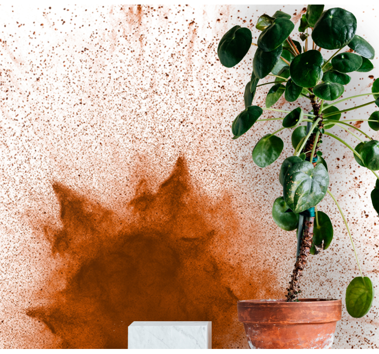 Kahverengi toz patlama evlilik duvar resimleri - TenStickers