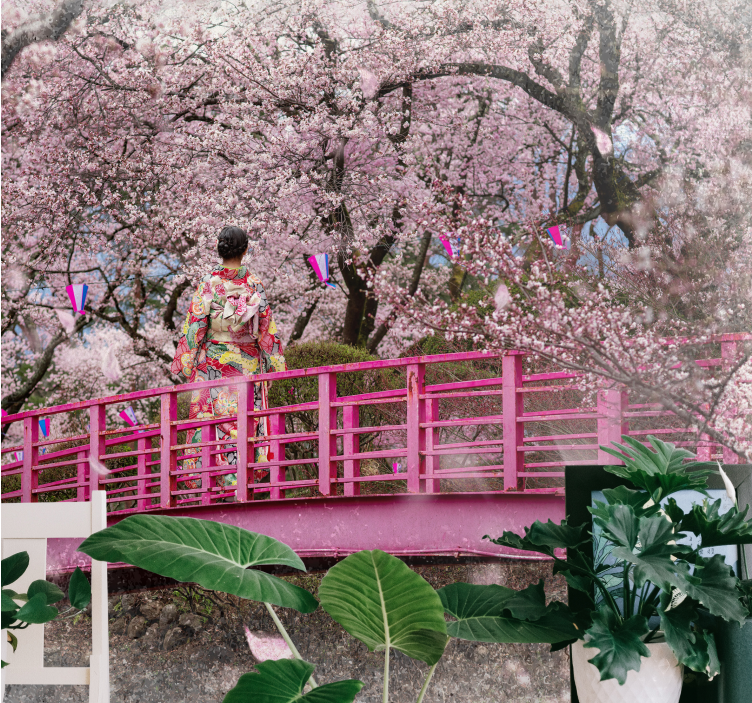 Kiraz çiçeği ve kırmızı bir köprü duvar kağıdı - TenStickers