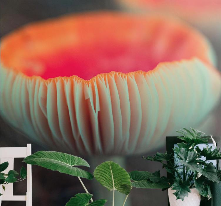 Kırmızı mantar solungaçları doğa duvar kağıdı - TenStickers