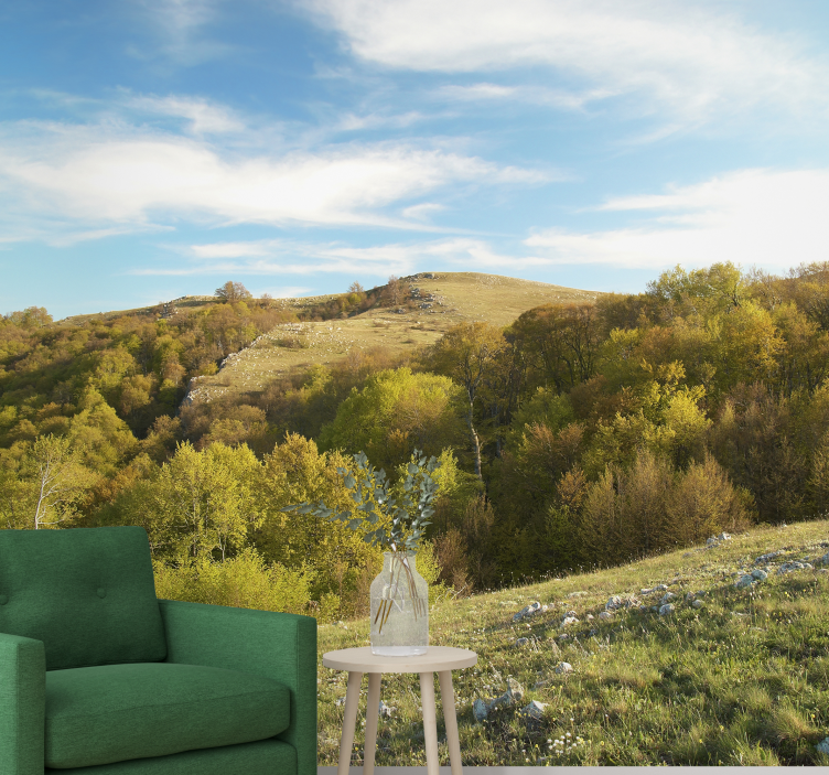 Manzara duvar resim - yuvarlanan tepeler manzarası - TenStickers