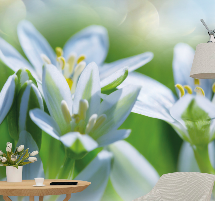 Muhteşem kardelen çayırı duvar kağıdı - TenStickers