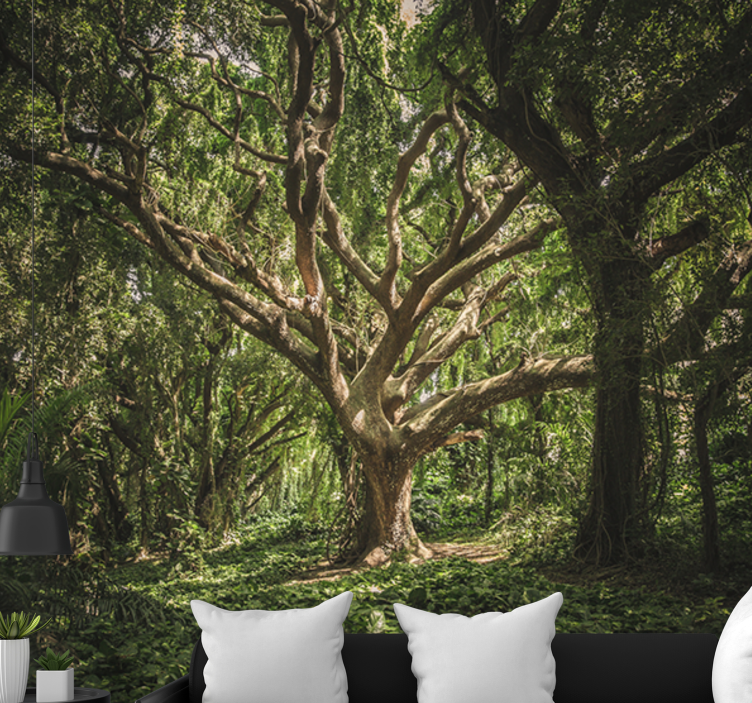 Orman duvar resim - görkemli orman Çatısı - TenStickers