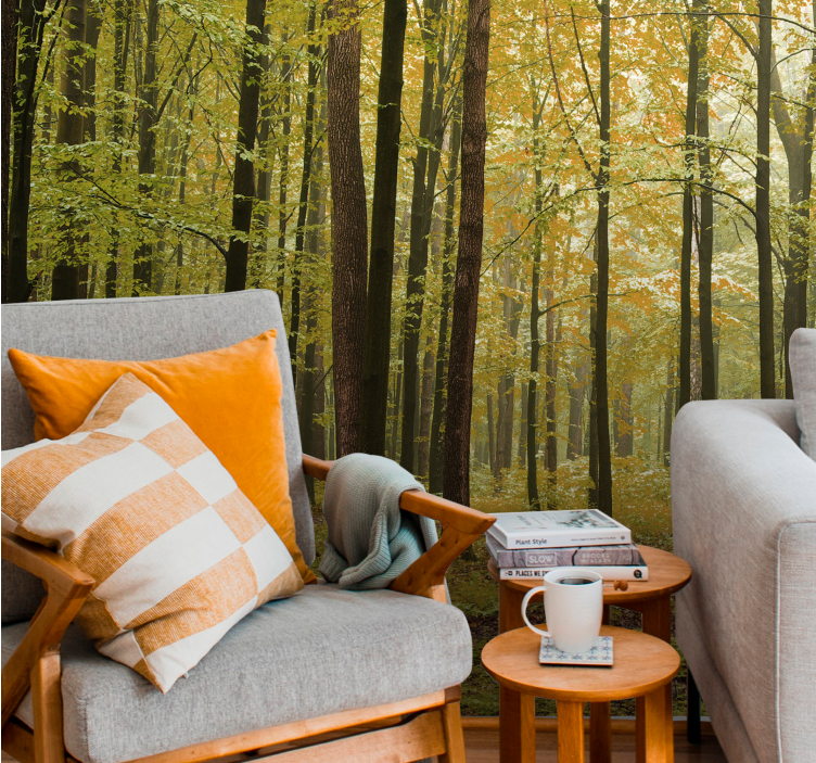 Orman duvar resmi sonbahar ormanı manzarası - TenStickers