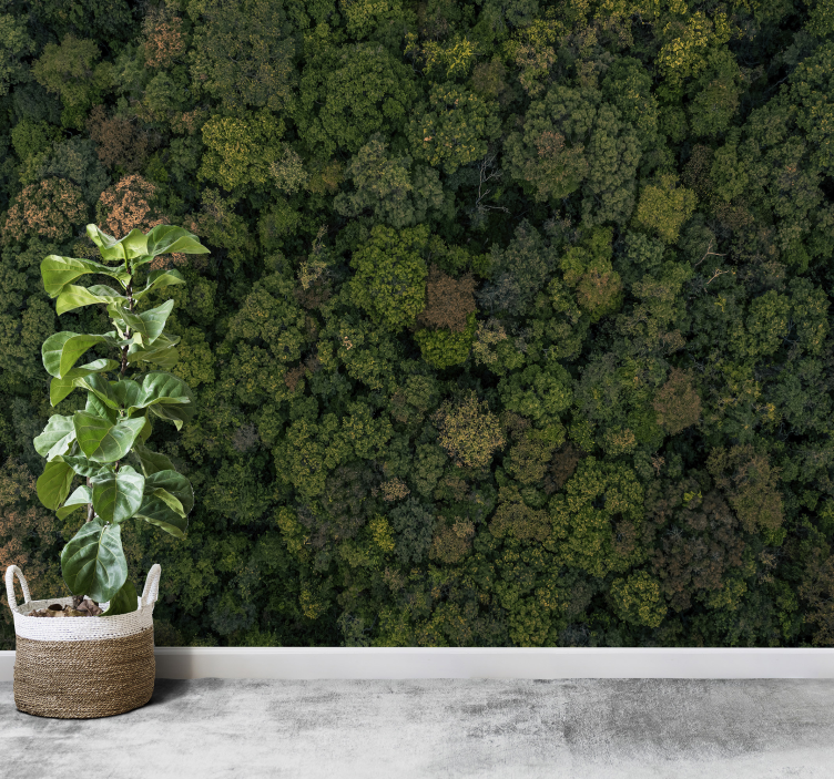 Orman fotoğraf ağacı duvar resmi - TenStickers