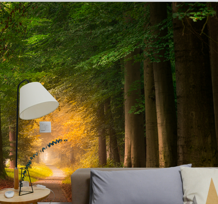 Ormanın içinden geçen sokak duvar kağıdı - TenStickers