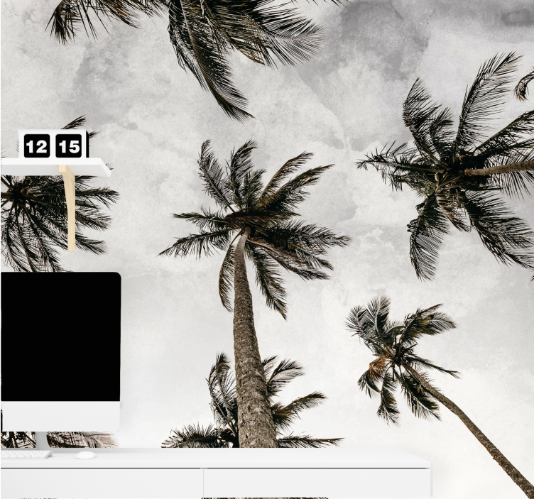 Palmiye ağaçlarının düşük açılı fotoğrafçılığı duvar resmi - TenStickers